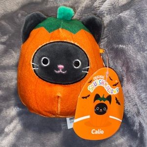 Calio (The Cat Pumpkin) 4.5” Halloween Squishmallow.